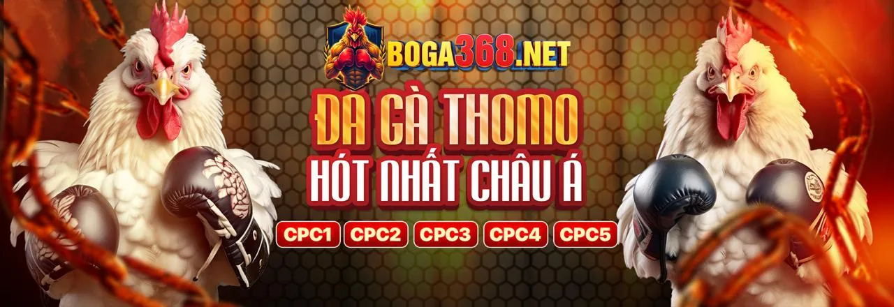 Lợi ích khi cá cược đá gà tại Winvn176