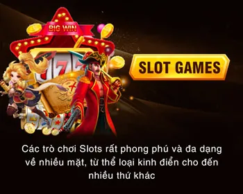 Biểu tượng đa dạng môn thể thao tại winvn176