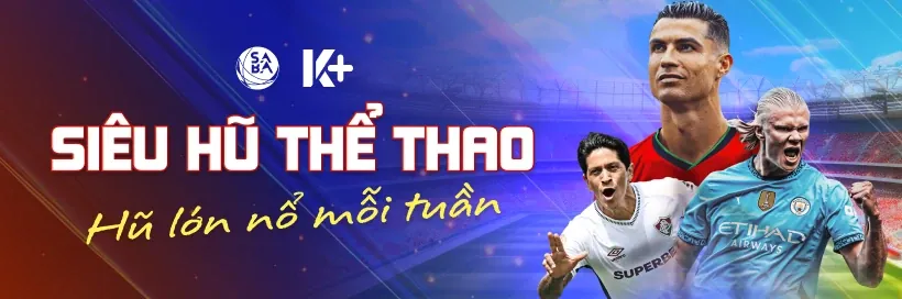 Giao diện nền tảng thể thao winvn176 với đa dạng các môn cược